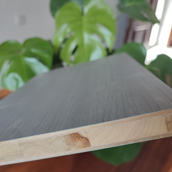 杨木生态板厂家